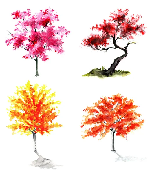 Watercolor painted trees illustration isolated on the white background, decorative element, sketch nature object 