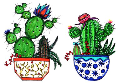 Felt-tip cacti and succulents isolated on the white background, a home plant decorative element