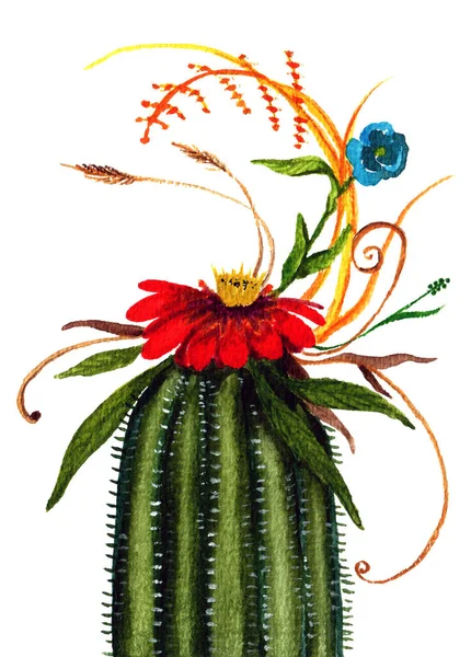 Watercolor cactus isolated on the white background, a home plant decorative element