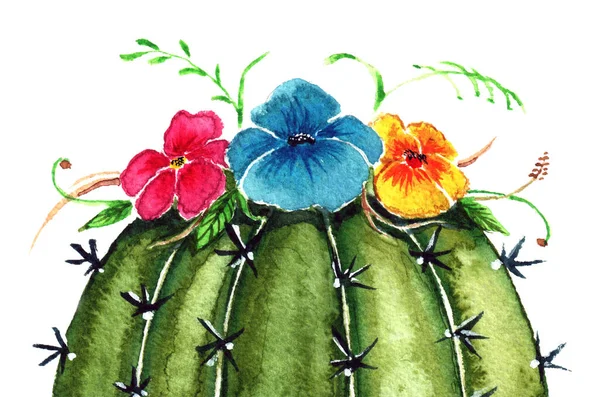 Watercolor cactus isolated on the white background, a home plant decorative element