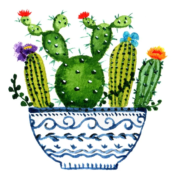Watercolor cacti and succulents isolated on the white background, a home plant decorative element