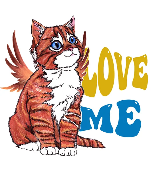 Beyaz arka planda izole edilmiş sevimli ve komik bir kedi.