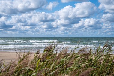 Willow sahili ve denizi selamlıyor. Sahilde, denizde ve gökyüzünde beyaz kabarık bulutlar var.
