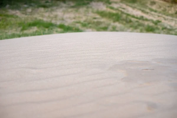 風の後に海の砂 沈黙と平和 砂のパターン 背景がぼやけて砂の中で成長している草 — ストック写真
