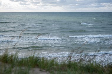 Rüzgar denizi ve kum tepelerindeki yeşil otları sallıyor. Arka planda rüzgarlı havada denizde dalgalar. Kopyalama alanı
