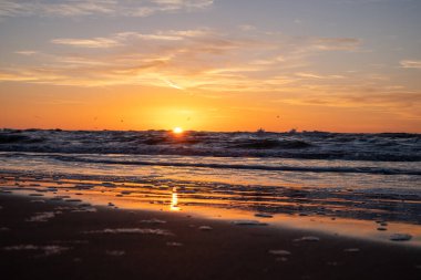 Muhteşem, düşünceli, rengarenk bir gün batımı arka planda kışın sonunda deniz kıyısında. Deniz, ufuk ve güneşin yolu..