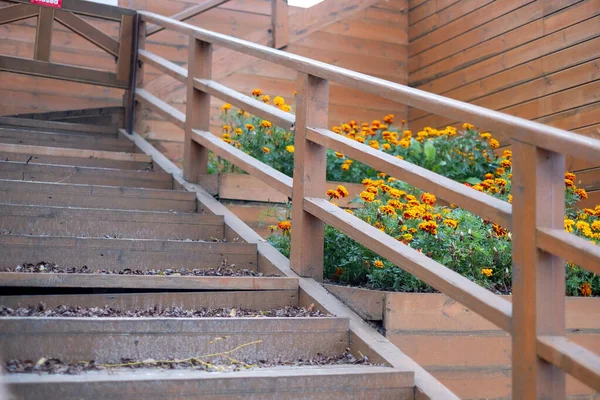 A wooden staircase with a railing leads to a wooden building, and next to it, bright, sunny autumn flowers rejoice in a wooden flower box. Copyspace