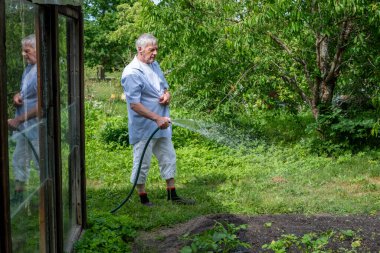 Açık gömlekli kıdemli bahçıvan bahçe yansıyan sera cam, bakım ve yansıma bir karışım, sürdürülebilir yaşam konuları için mükemmel. 