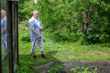 Gri saçlı bahçeli bahçıvan, sera camına yansıyan, bakım ve yansıma karışımı, sürdürülebilir yaşam konuları için mükemmel.. 