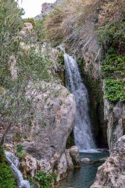 Dar bir şelale, engebeli kayalıkların ve yumuşak bir gökyüzünün altında vahşi çalılıkların bulunduğu gizli bir kaya havuzuna dalıyor. Yüksek kalite fotoğraf