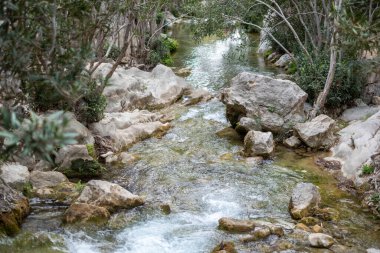 Kristal sular engebeli bir derede dalgalanır, bükülmüş dalların ve kireçtaşı kayaların vahşi kucaklamalarıyla kucaklanır. Yüksek kalite fotoğraf