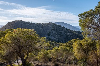 Tepe manzarası, parlak bir gökyüzünün altındaki yeşil ağaçlar tarafından çerçevelenmiş. Arkasında kayan tepeler olan çizgili bulutlar. Yüksek kalite fotoğraf