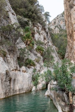 Sert çalılar ve dik kayalıklarla çevrili sakin bir su havuzu olan Rocky Canyon, engebeli sanatın bir kanıtı. Yüksek kalite fotoğraf