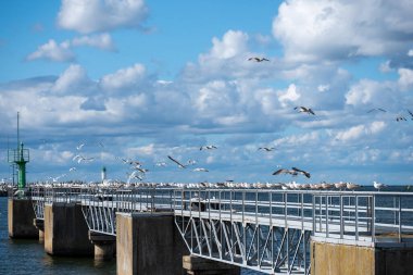 Bir martı sürüsü liman iskelesinin üzerinde uçuyor ve arka planda tekneler görünüyor. Gökyüzü bulutlarla dolu, ve sahne canlı bir rıhtımın özünü yakalıyor..