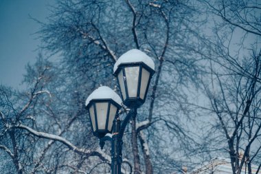 Açık bir gökyüzünün altında çıplak ağaçlarla çevrili iki sokak lambası, gün boyunca sakin bir kış atmosferi sergiliyor..