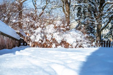 Saf kar tabakaları bahçeyi örtüyor, çalıların ve ağaçların hatlarını vurguluyor. Güneş ışığı sakin bir kış gününde dalların arasından süzülüyor..