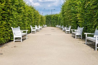 Sakin açık yol beyaz banklar ve canlı yeşil çitler içerir, doğal bir çevrede rahatlama ve yansıma için huzurlu bir atmosfer yaratır.