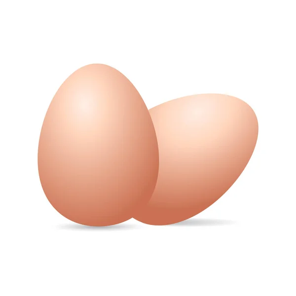 布朗鸡蛋现实的有机食品病媒说明 — 图库矢量图片
