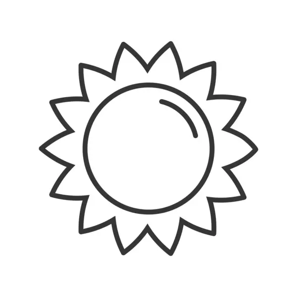 Liniowa Ikona Słońca Izolowana Ilustracja Wektora Ilustracje Stockowe bez tantiem