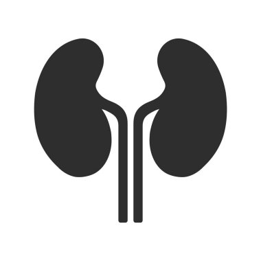 Böbrek Yassı Simgesi İzole Edilmiş Vektör İllüstrasyonu