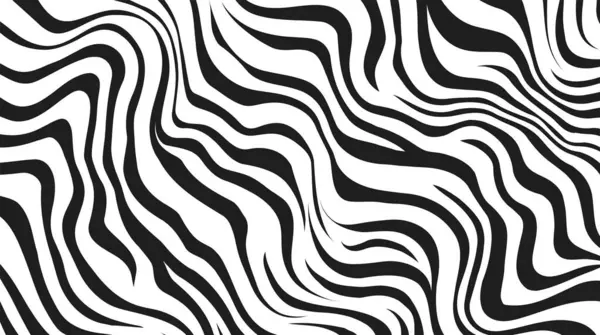 Zebra Kaplanı Siyah Beyaz Çizgili Arkaplan