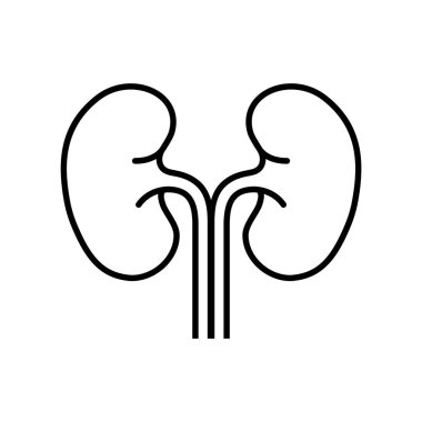 İnsan Böbreği Özet Biçimi Simge Vektörü