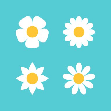 Mavi Arkaplanda Beyaz Papatya Çiçeği Simgesi Vektörü
