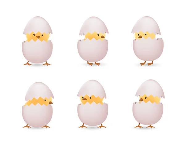 白色碎鸡蛋里的小鸡 — 图库矢量图片