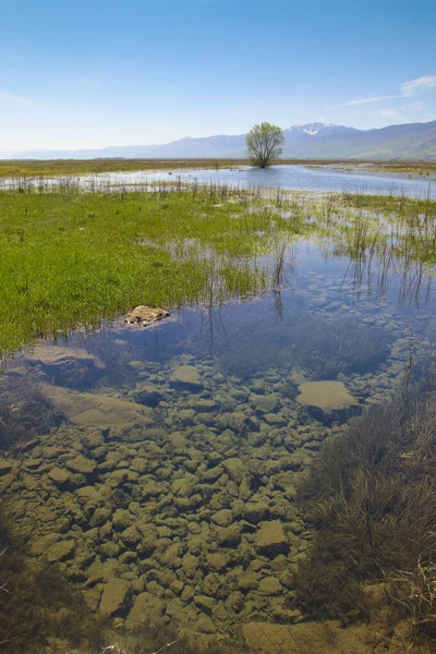 Karst livno polje 'yi su basmış en büyük kelimelerin bahar manzarası