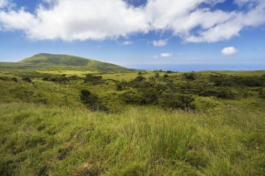 Atlantik Okyanusu 'ndaki Azores volkanik adası Pico' nun tipik coğrafi manzarası..