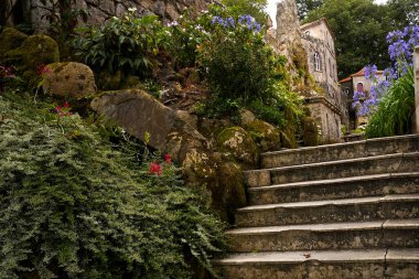 Gizemli şatoda Botanik Bahçesi Quinta da Regaleira, Sintra, Portekiz.