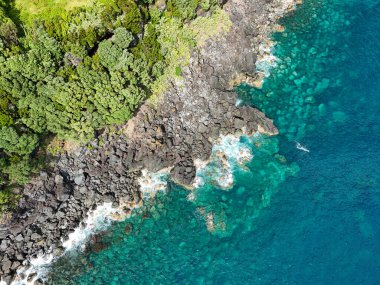 Portekiz 'in PIco Azores adasındaki ormanın ve Atlantik okyanusunun en üst manzarası..