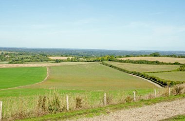 Kingsclere, North Hampshire Downs 'daki Plantation Hill' den Berkshire ve Oxfordshire 'a bakan güneşli bir yaz günü.