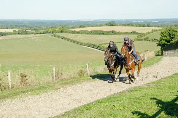 17 Eylül 2022: Kingsclere, Hampshire 'da Richard Bandy Racing' in evi olan Plantation Farm 'da dört nala koşan iki jokey. Tepeler Hampshire Downs 'un bir parçasıdır. Olağanüstü bir doğal güzelliğe sahiptir..