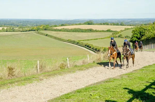 3 Eylül 2022: Jokeyler, güneşli bir yaz gününde Kingsclere 'da Hampshire Downs' daki Plantation Farm 'da dört nala koşuyor..