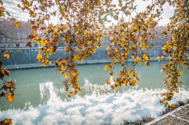 lungotevere Rome, tree-lined avenue at the sides of the river