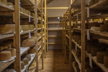 dairy products. production of cheese. warehouse
