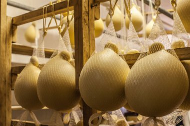 dairy products. production of cheese. warehouse