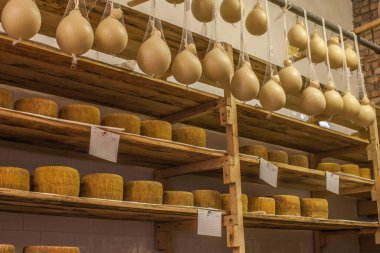 dairy products. production of cheese. warehouse
