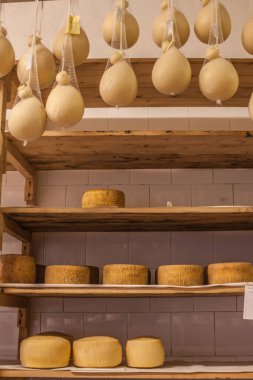 dairy products. production of cheese. warehouse