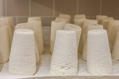 dairy products. production of cheese. warehouse