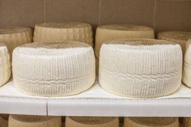 dairy products. production of cheese. warehouse