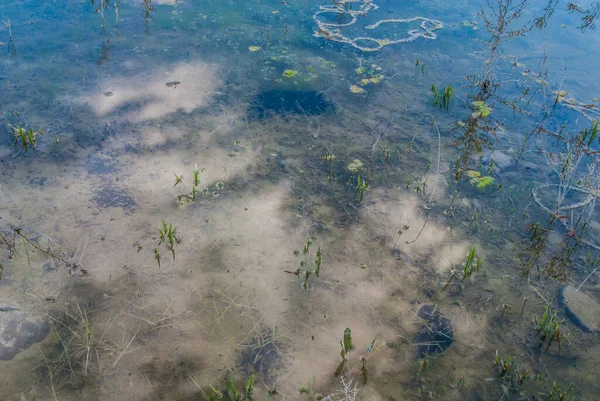 Rivier Natuur Milieu Water Vervuiling Milieuconcept — Stockfoto