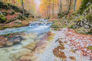 Dağlardaki nehrin güzel manzarası