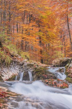 Dağlardaki nehrin güzel manzarası