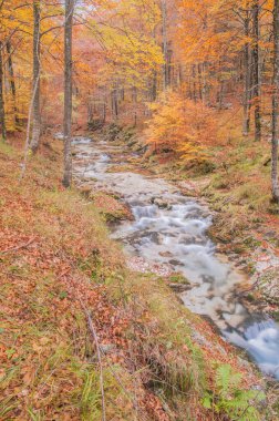 Dağlardaki nehrin güzel manzarası