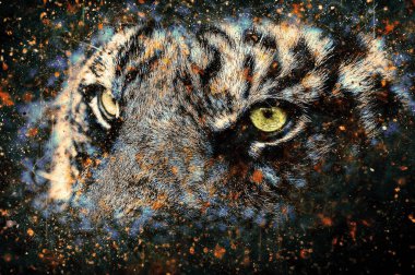 Hayvanat bahçesindeki güzel kaplan