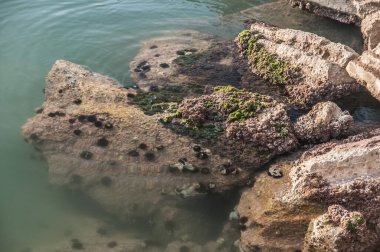 Deniz kıyısının güzel manzarası