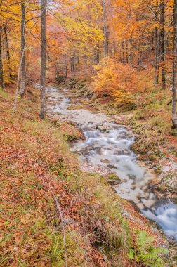 Dağlardaki nehrin güzel manzarası