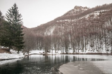 Dağları ve ağaçları olan güzel kış manzarası